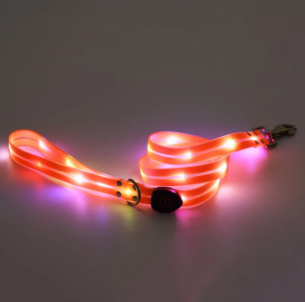 Collar LED Recargable para Mascotas con Correa de Nylon