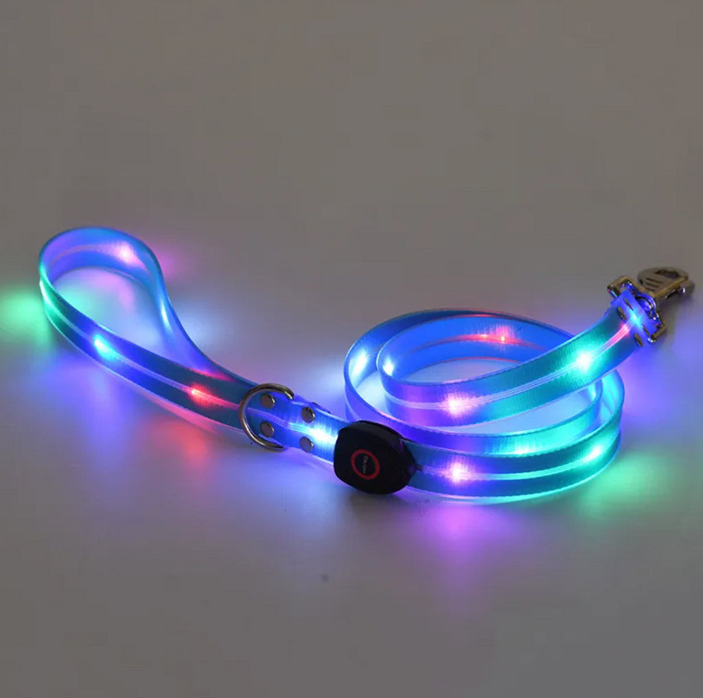 Collar LED Recargable para Mascotas con Correa de Nylon