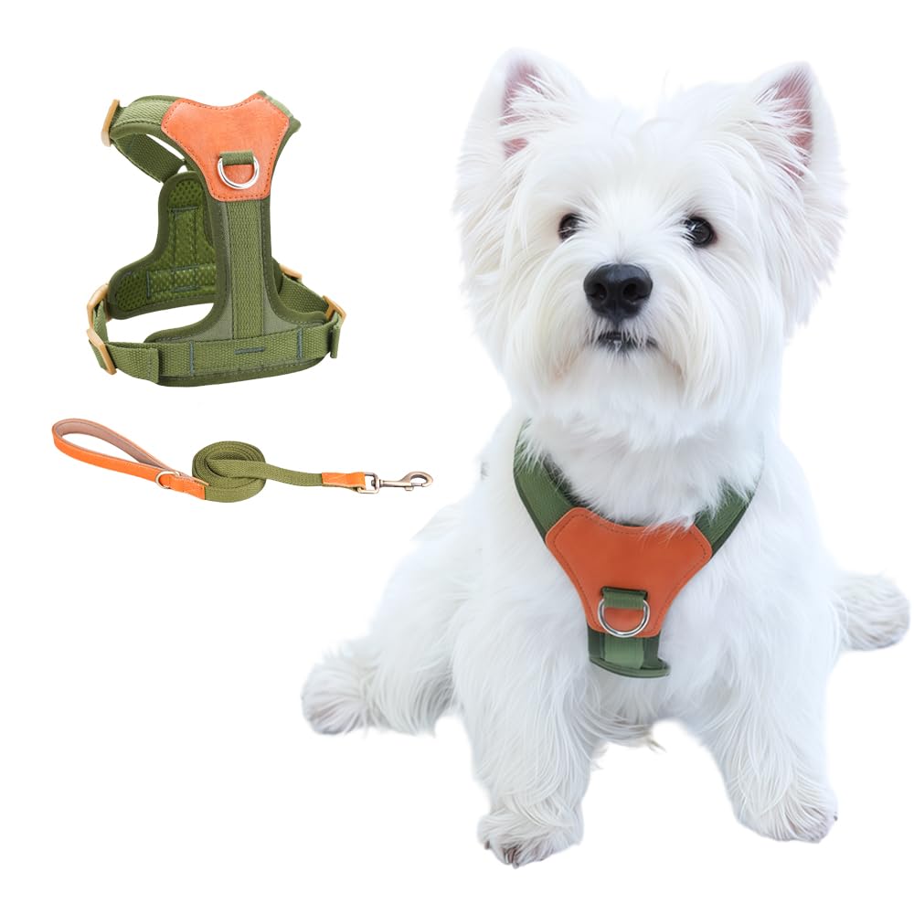 CHUNFENGX Set de Arnés y Correa Antitirones para Perros - Arnés con Clip Frontal, Arnés de Entrenamiento para Perros Medianos, Arnés Fácil de Pasear para Perros Pequeños y Medianos (Verde XS)